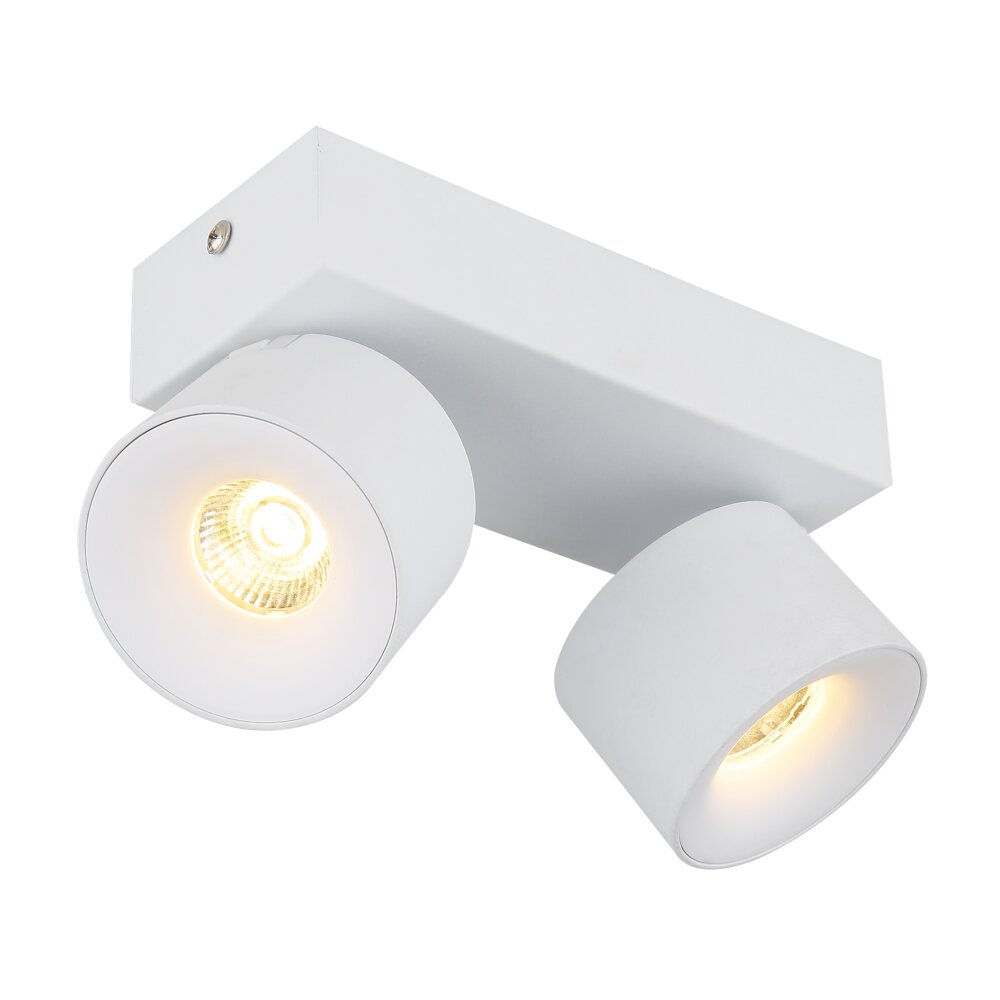 Globo Rae Deckenleuchte LED Weiß, 2-flammig main product photo