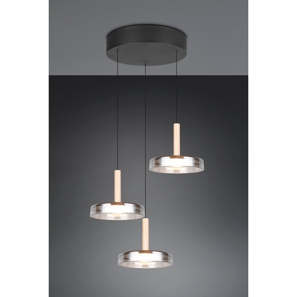 Trio Celeste Pendelleuchte LED Schwarz, 1-flammig main product photo