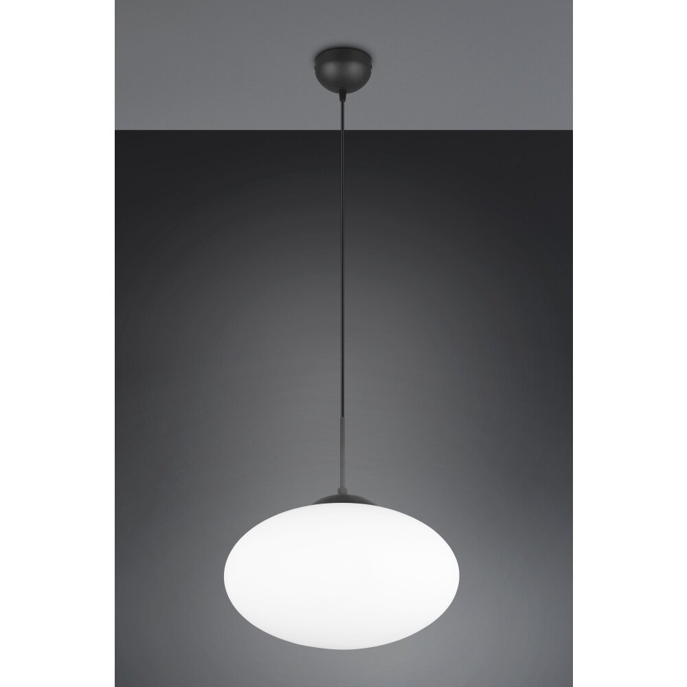 Trio Fomento Pendelleuchte Schwarz, 1-flammig main product photo