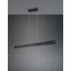 Trio Galway Pendelleuchte LED Schwarz, 1-flammig Trio Galway Pendelleuchte LED Schwarz, 1-flammig