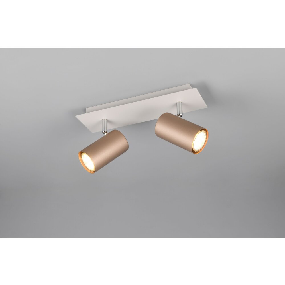 Trio Marley Deckenspot Braun, 2-flammig main product photo