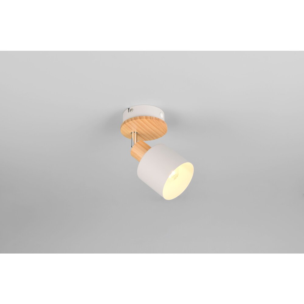 Trio Shanti Deckenspot Grau, 1-flammig main product photo