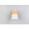 Trio Shanti Deckenspot Grau, 1-flammig