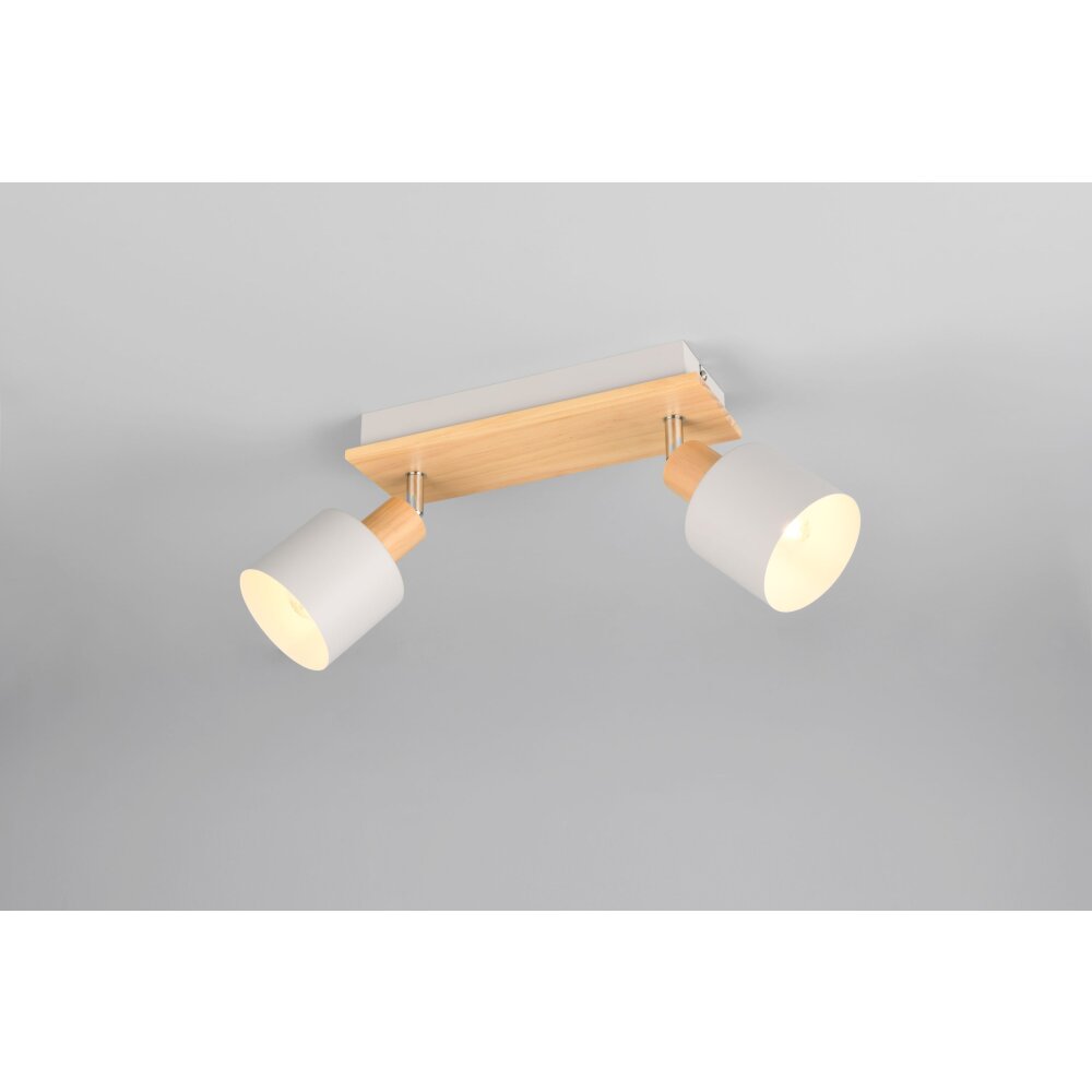 Trio Shanti Deckenspot Grau, 2-flammig main product photo