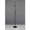 Trio Willis Stehlampe LED Schwarz, 2-flammig