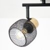 Brilliant Giada Deckenstrahler Schwarz, 2-flammig