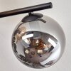 Gastor Deckenleuchte Glas 15 cm Bernsteinfarben, Rauchfarben, 5-flammig