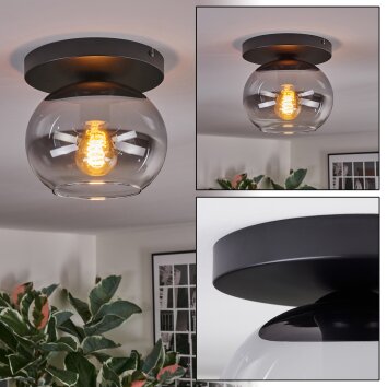 Apedo Deckenleuchte Glas 20 cm Klar, Rauchfarben, 1-flammig