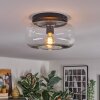 Boza Deckenleuchte Glas 28 cm Klar, 1-flammig