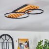 Pompu Deckenleuchte LED Naturfarben, Schwarz, 1-flammig