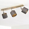 Tibro Deckenleuchte Gold, Grau, 3-flammig