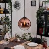 Gastor Hängeleuchte Glas 30 cm Klar, Kupferfarben, 1-flammig