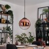 Gastor Hängeleuchte Glas 30 cm Klar, Kupferfarben, 1-flammig