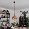 Gastor Hängeleuchte Glas 30 cm Klar, Kupferfarben, 1-flammig