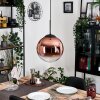 Gastor Hängeleuchte Glas 30 cm Klar, Kupferfarben, 1-flammig