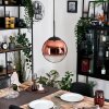 Gastor Hängeleuchte Glas 25 cm Klar, Kupferfarben, 1-flammig