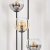 Koyoto Stehleuchte Glas 15 cm Holz hell, Schwarz, 4-flammig