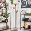 Koyoto Stehleuchte Glas 15 cm Holz hell, Schwarz, 3-flammig