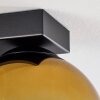 Koyoto Deckenleuchte Glas 15 cm Gold, Klar, 4-flammig