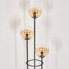 Gastor Stehleuchte Glas 15 cm Holz hell, Schwarz, 3-flammig