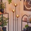 Gastor Stehleuchte Glas 15 cm Holz hell, Schwarz, 3-flammig