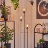 Gastor Stehleuchte Glas 15 cm Holz hell, Schwarz, 3-flammig