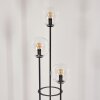 Gastor Stehleuchte Glas 15 cm Holz hell, Schwarz, 3-flammig