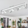 Gesteira Deckenleuchte Chrom, Weiß, 6-flammig
