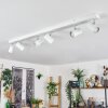 Gesteira Deckenleuchte Chrom, Weiß, 6-flammig