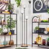 Gastor Stehleuchte Glas 15 cm Holz hell, Schwarz, 3-flammig