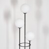 Gastor Stehleuchte Glas 15 cm Schwarz, 3-flammig