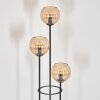 Kyoto Stehleuchte Glas 15 cm Holz hell, Schwarz, 3-flammig