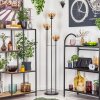 Gastor Stehleuchte Glas 15 cm Schwarz, 3-flammig