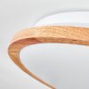 Nogueira Deckenleuchte LED Weiß, 1-flammig, Fernbedienung