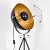 Saturn Stehleuchte Schwarz, 1-flammig