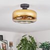 Boza Deckenleuchte Glas 28 cm Gold, Klar, 1-flammig
