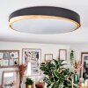 Hiral Deckenleuchte LED Naturfarben, Schwarz, 1-flammig, Fernbedienung