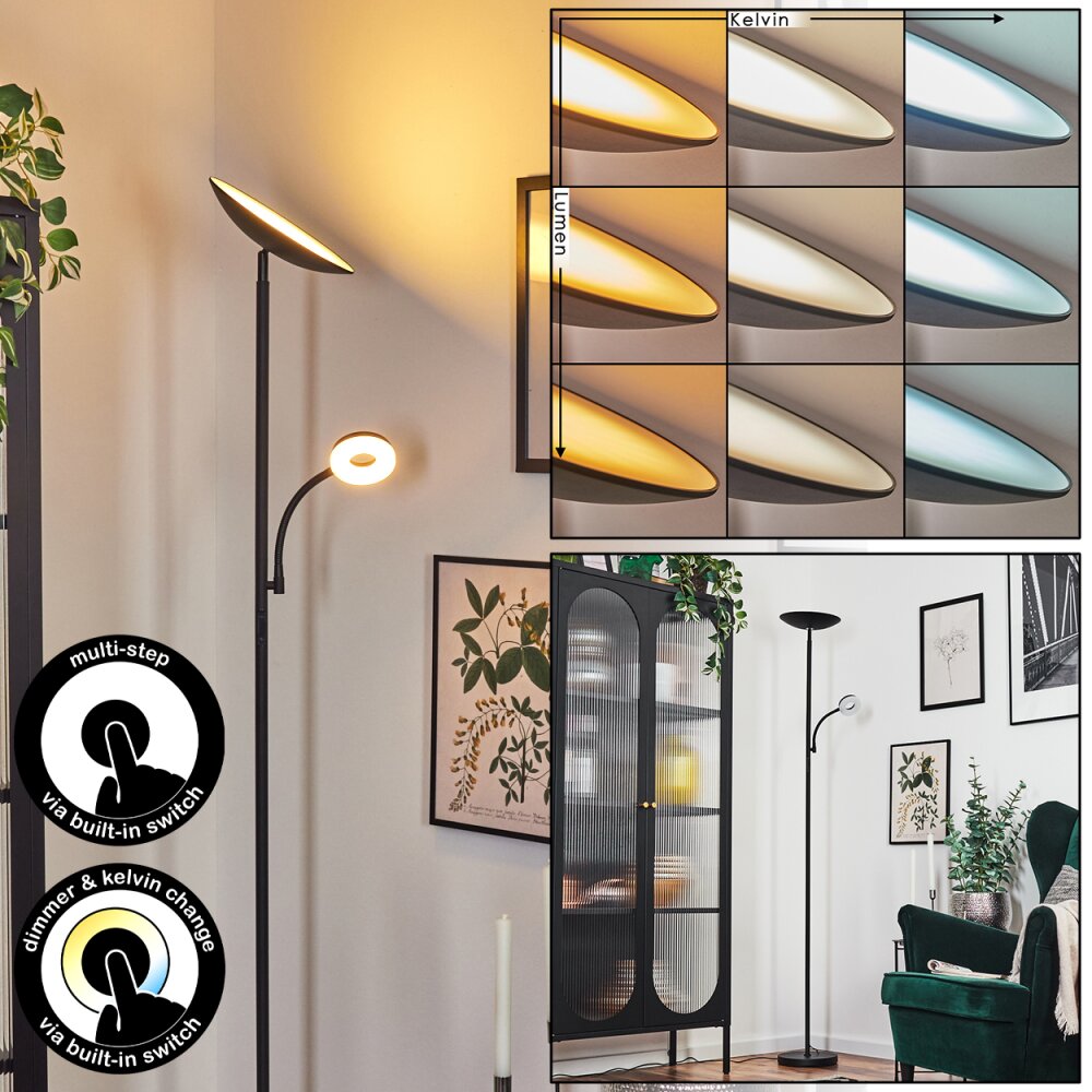 Dillingby Stehleuchte LED Schwarz, 2-flammig main product photo