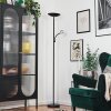 Dillingby Stehleuchte LED Schwarz, 2-flammig