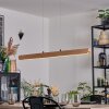 Fugelsta Pendelleuchte LED Schwarz, 1-flammig