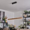 Fugelsta Pendelleuchte LED Schwarz, 1-flammig