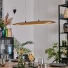 Fugelsta Pendelleuchte LED Schwarz, 1-flammig
