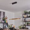 Fugelsta Pendelleuchte LED Schwarz, 1-flammig