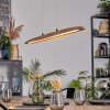 Fugelsta Pendelleuchte LED Schwarz, 1-flammig