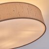 Foggia Deckenleuchte 50 cm Nickel-Matt, 3-flammig