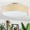 Foggia Deckenleuchte 50 cm Nickel-Matt, 3-flammig