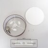 Foggia Deckenleuchte 40 cm Nickel-Matt, 3-flammig