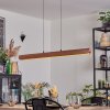 Fugelsta Pendelleuchte LED Schwarz, 1-flammig