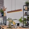 Fugelsta Pendelleuchte LED Schwarz, 1-flammig