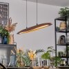 Fugelsta Pendelleuchte LED Schwarz, 1-flammig